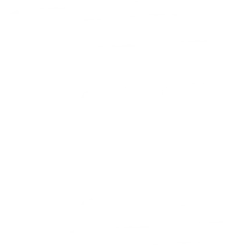 notion icon
